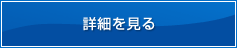 詳細を見る